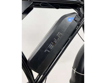 Электровелосипед Fate bike Tesla 20 (1200W, 48V, 26Ah) Задний привод -6