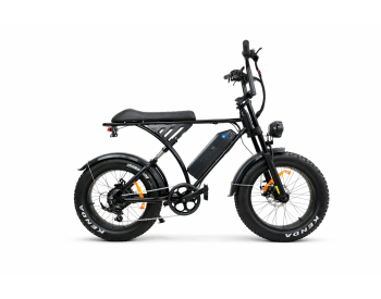 Электровелосипед Fate bike Tesla 20 (1200W, 48V, 26Ah) Задний привод -2