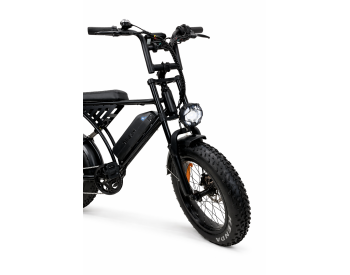 Электровелосипед Fate bike Tesla 20 (1200W, 48V, 26Ah) Задний привод -1