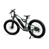 Електровелосипед Фетбайк ReAspire BAFANG 26 дюймів (750W, 48V, 16Ah) Зелений