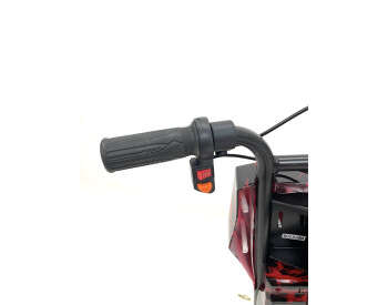 Дрифт-карт Crazy Bug Premium (500W 5.7Ah) Пламя-5