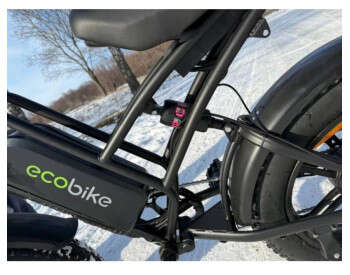 Электровелосипед ECOBIKE e-Motion V9 (1000W 60V 21Ah)-7