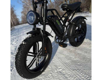 Электровелосипед ECOBIKE e-Motion V9 (1000W 60V 21Ah)-4