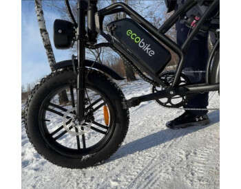 Электровелосипед ECOBIKE e-Motion V9 (1000W 60V 21Ah)-5