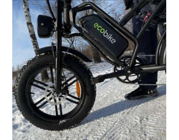 Электровелосипед ECOBIKE e-Motion V9 (1000W 60V 21Ah)-3