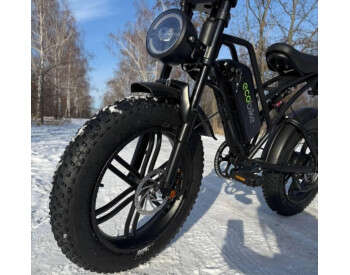 Электровелосипед ECOBIKE e-Motion V9 (1000W 60V 21Ah)-2